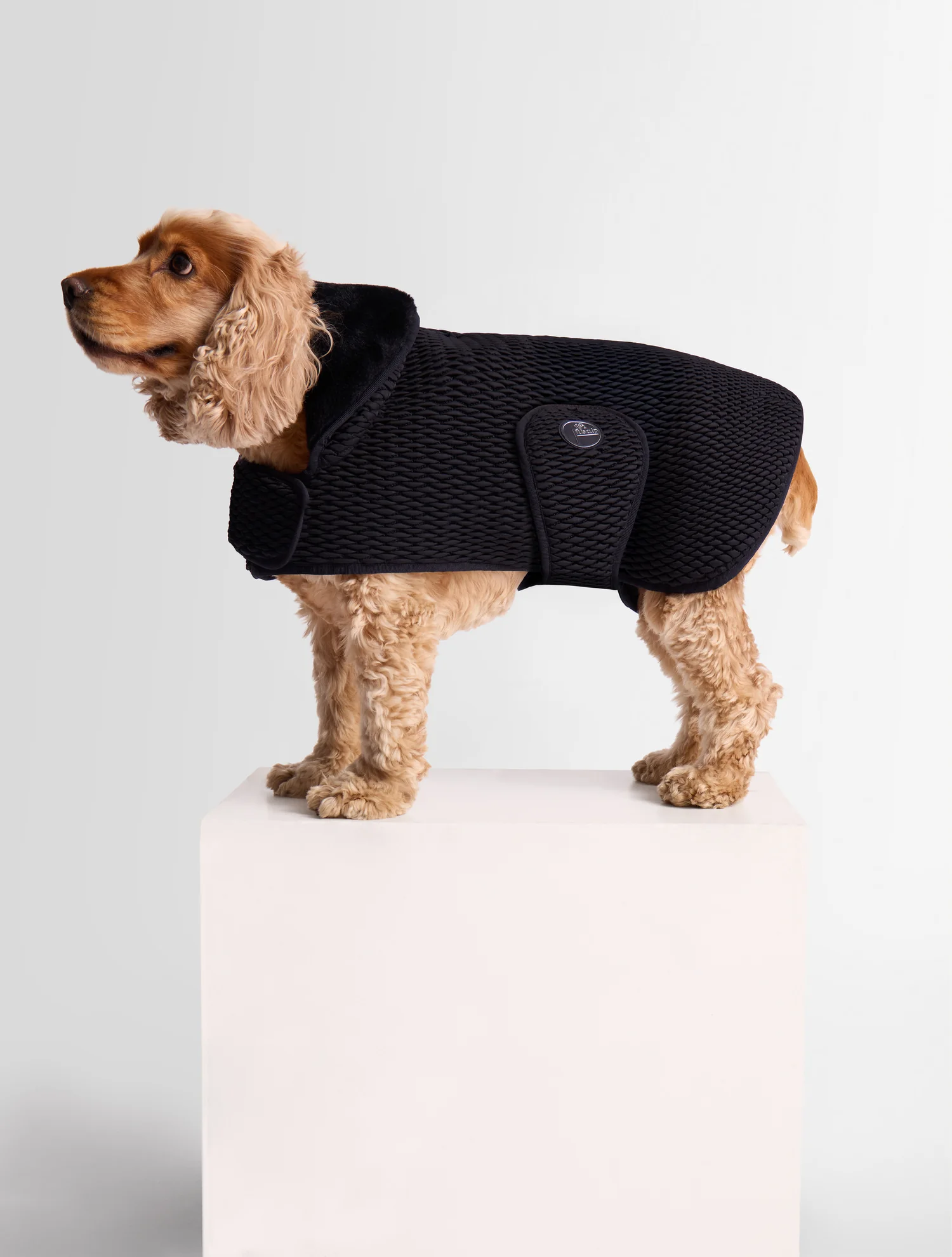 MANTEAU POUR CHIEN PAWINO