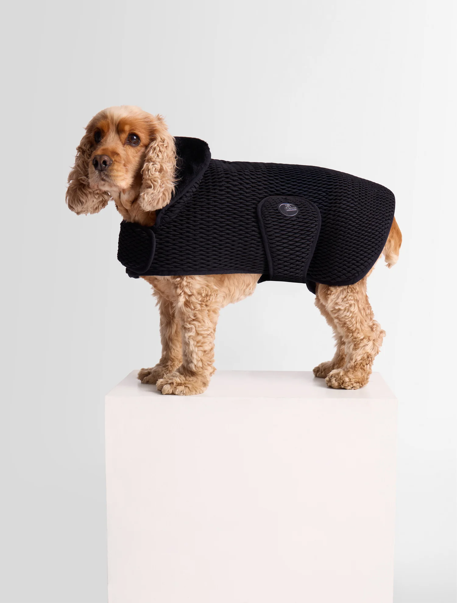 MANTEAU POUR CHIEN PAWINO - Image 2