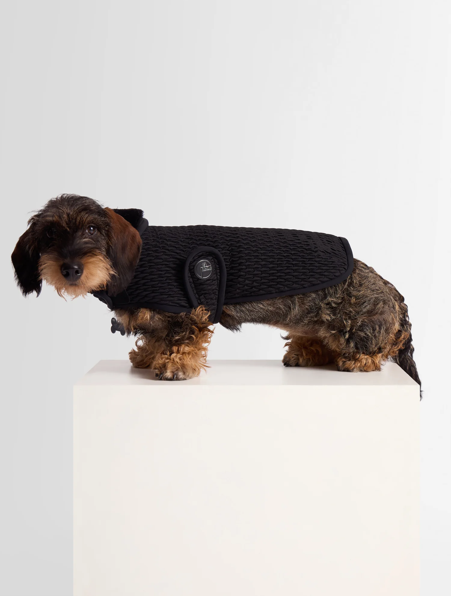 MANTEAU POUR CHIEN PAWINO - Image 3