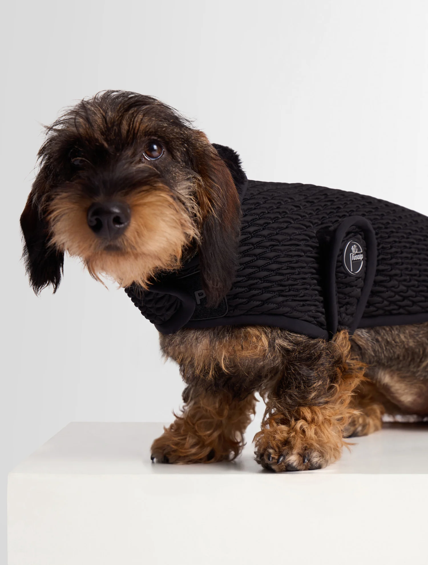 MANTEAU POUR CHIEN PAWINO - Image 4